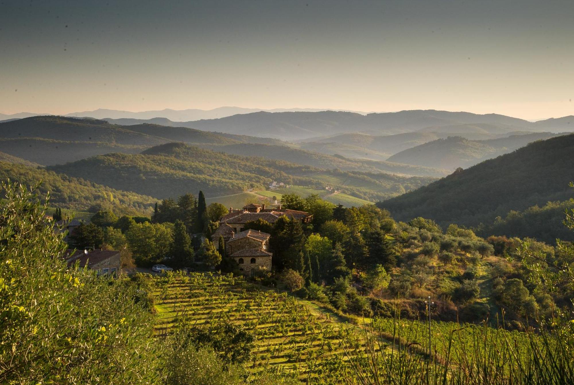 Tregole Apartment Castellina in Chianti Bagian luar foto